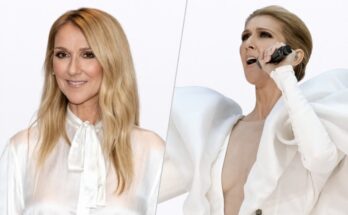 Celine Dion Return Rumor