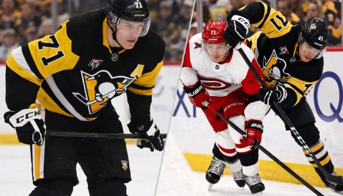 Malkin Injury
