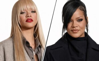 Rihanna Was Hit by Gunfire