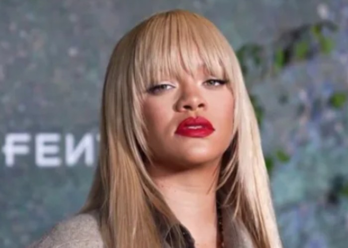 Rihanna Was Hit by Gunfire