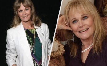 Valerie Perrine Family