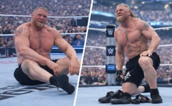 Did Brock Lesnar Retire