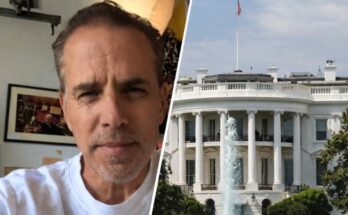 Donald Trump Jr. to Cage Fight