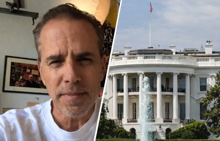 Donald Trump Jr. to Cage Fight