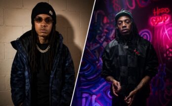 What Happened to Havinmotion