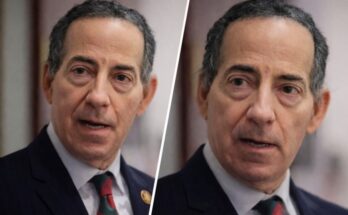 Who Is Jamie Raskin