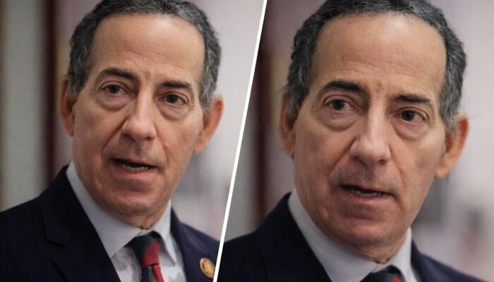 Who Is Jamie Raskin