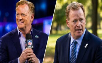 Who Is Roger Goodell