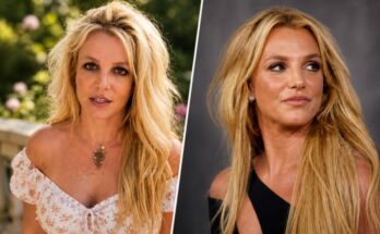 Britney Spears Arrested